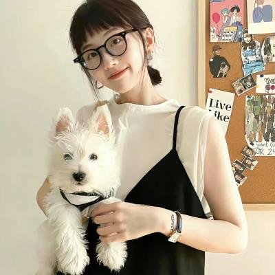 爱情枪手